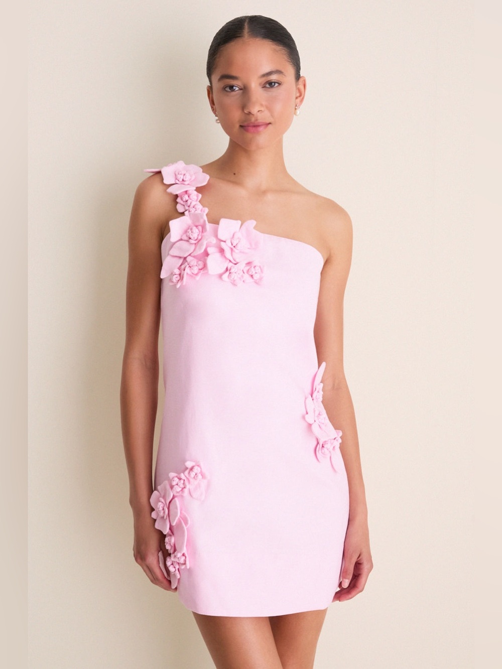 Hyacinth House Pink 3D Floral Applique Rosey Mini Dress Sz Large NWT Tuckernuck
